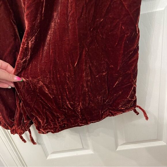 NEW Free People Lotus Velvet Pant in Garnet - Picture 7 of 16